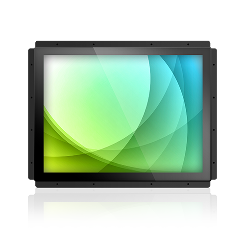 Display Module