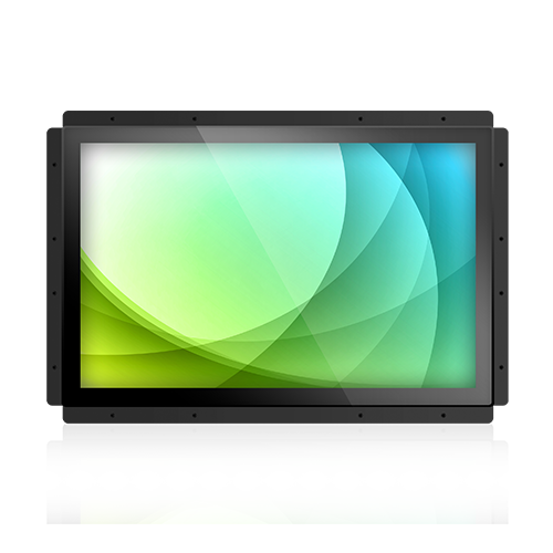 Display Module
