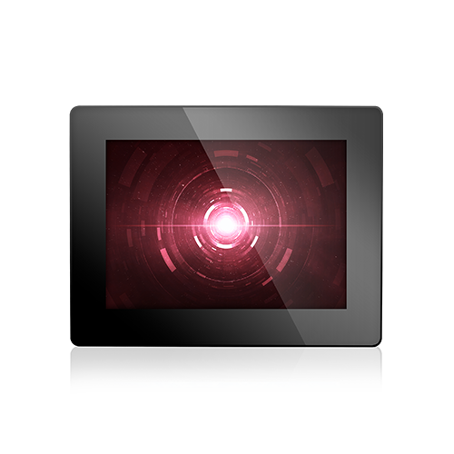 Display Module
