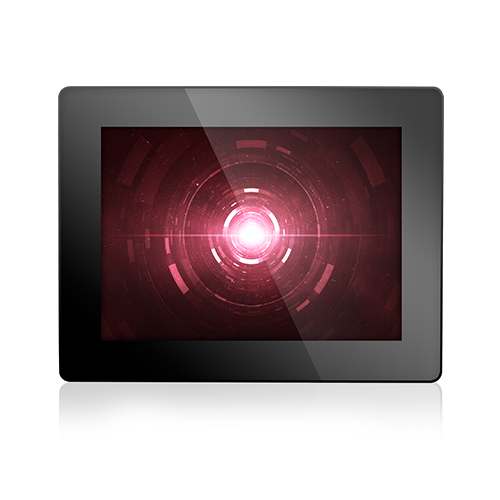 Display Module