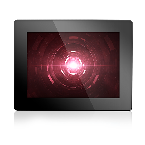 Display Module
