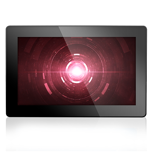 Display Module