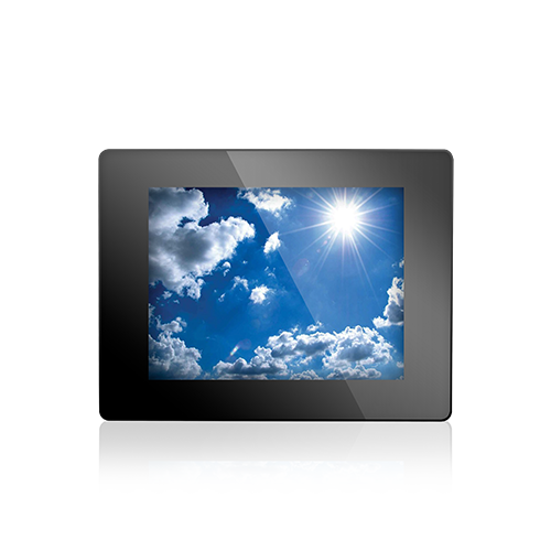 Display Module