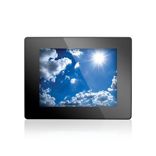 Display Module