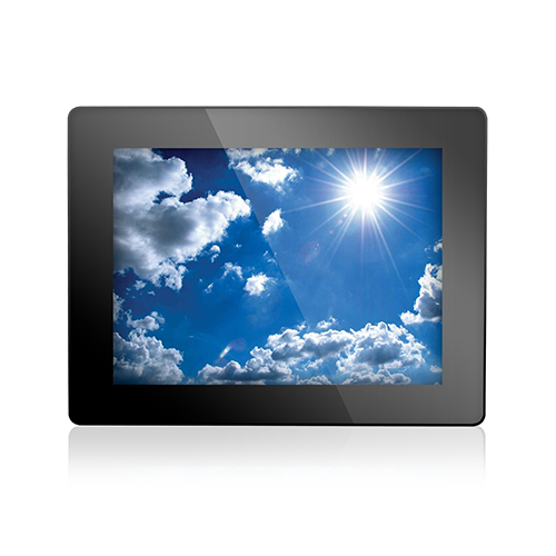 Display Module