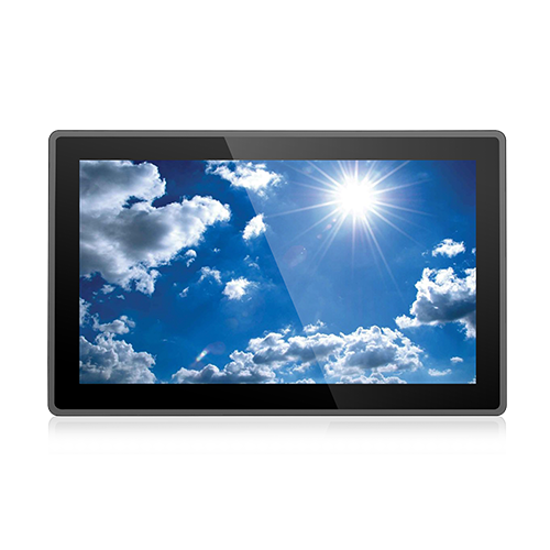 Display Module