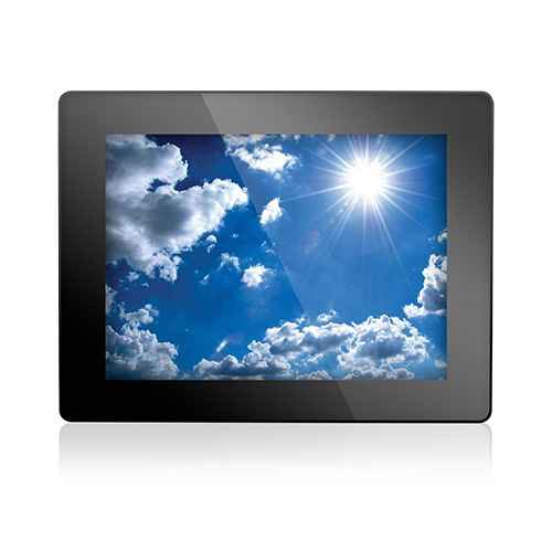 Display Module