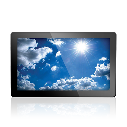Display Module